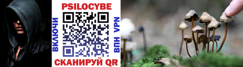 Псилоцибиновые грибы GOLDEN TEACHER  Баймак 
